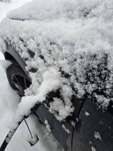Audi E - tron quattro 50/55 V2 vær og snø deksel for ladeport - Standard Venstre - PROTONORD - PROTONORD